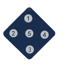 Training shield
